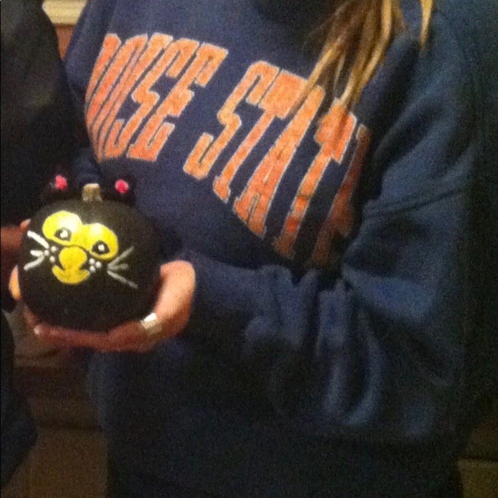 ISO Boise State Vintage Sweatshirt